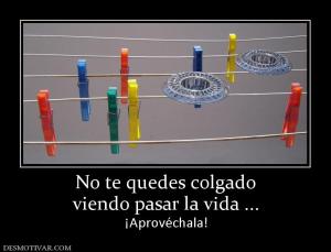 No te quedes colgado viendo pasar la vida ... ¡Aprovéchala!