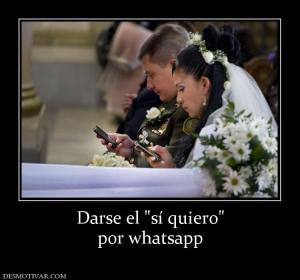 Darse el  por whatsapp