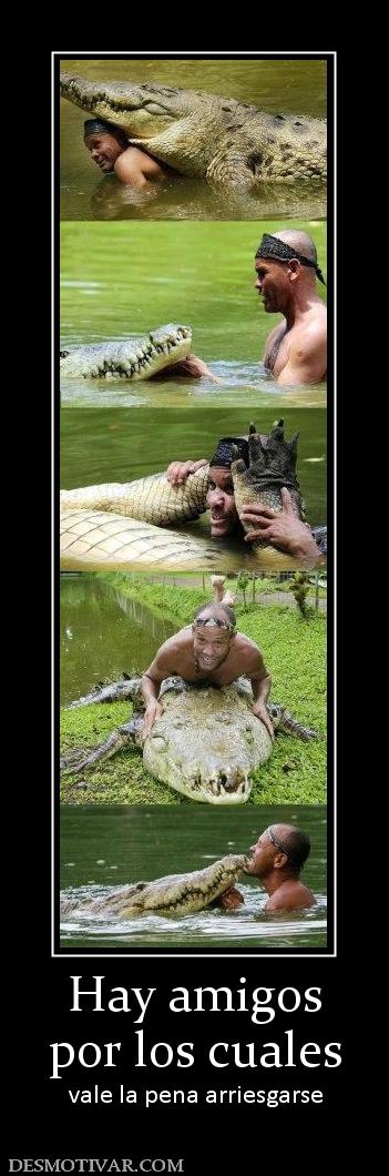 Hay amigos por los cuales  vale la pena arriesgarse