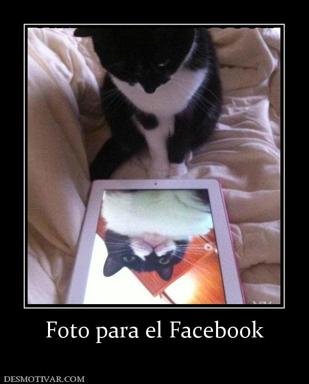 Foto para el Facebook
