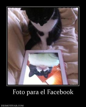 Foto para el Facebook