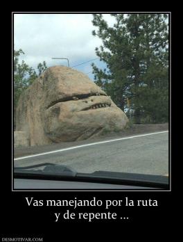 Vas manejando por la ruta y de repente ...