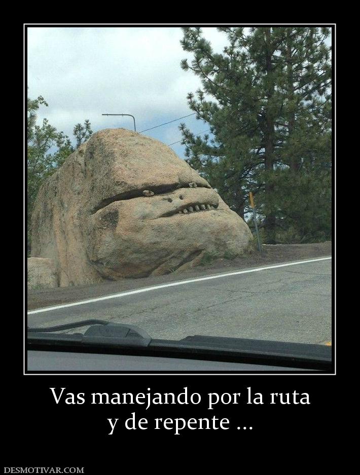 Vas manejando por la ruta y de repente ...