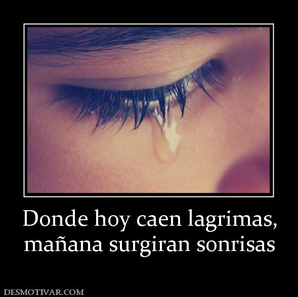 Donde hoy caen lagrimas, mañana surgiran sonrisas