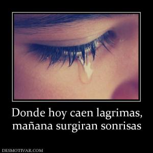 Donde hoy caen lagrimas, mañana surgiran sonrisas