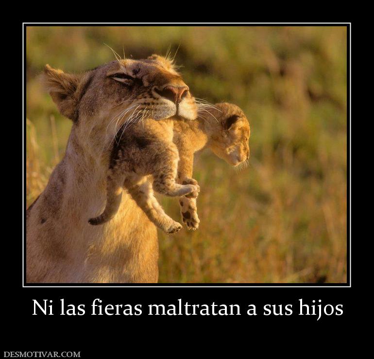 Ni las fieras maltratan a sus hijos
