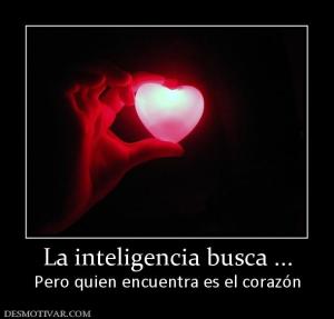 La inteligencia busca ... Pero quien encuentra es el corazón