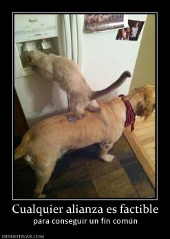 Cualquier alianza es factible para conseguir un fin común