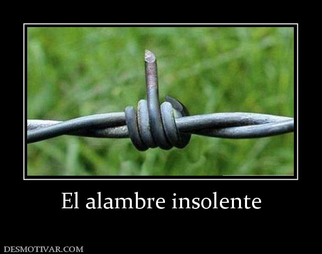 El alambre insolente