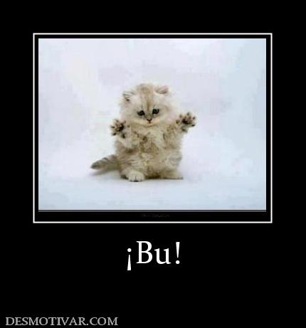 ¡Bu!