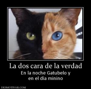 La dos cara de la verdad En la noche Gatubelo y en el día minino