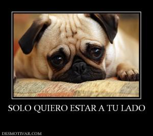 SOLO QUIERO ESTAR A TU LADO
