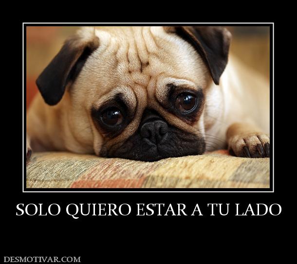 SOLO QUIERO ESTAR A TU LADO