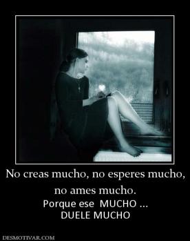 No creas mucho, no esperes mucho, no ames mucho. Porque ese  MUCHO ... DUELE MUCHO