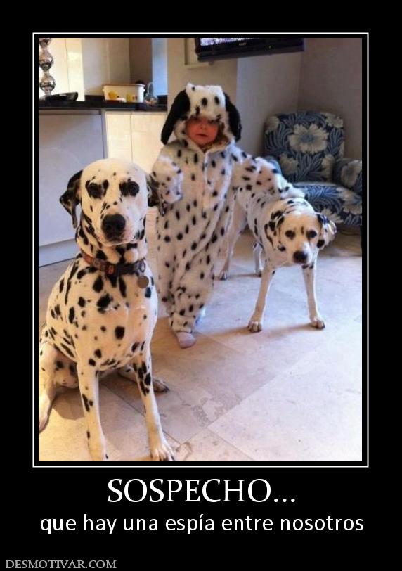SOSPECHO... que hay una espía entre nosotros