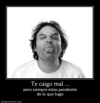 Te caigo mal ... pero siempre estas pendiente de lo que hago