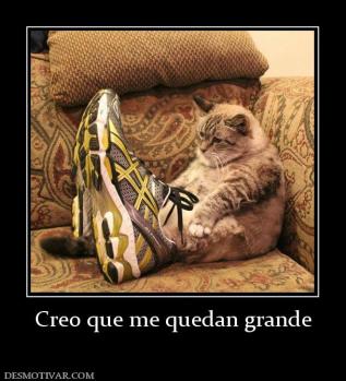Creo que me quedan grande