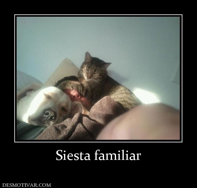 Siesta familiar