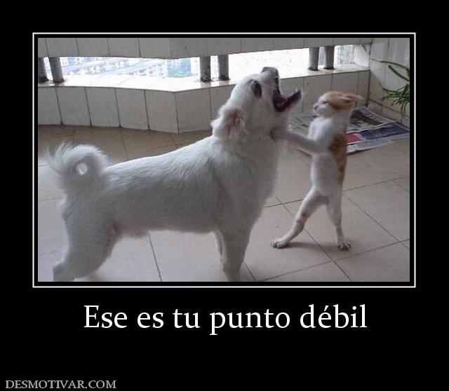 Ese es tu punto débil