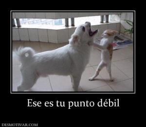 Ese es tu punto débil