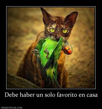 Debe haber un solo favorito en casa