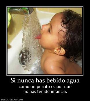 Si nunca has bebido agua como un perrito es por que no has tenido infancia.