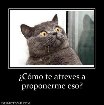 ¿Cómo te atreves a proponerme eso?