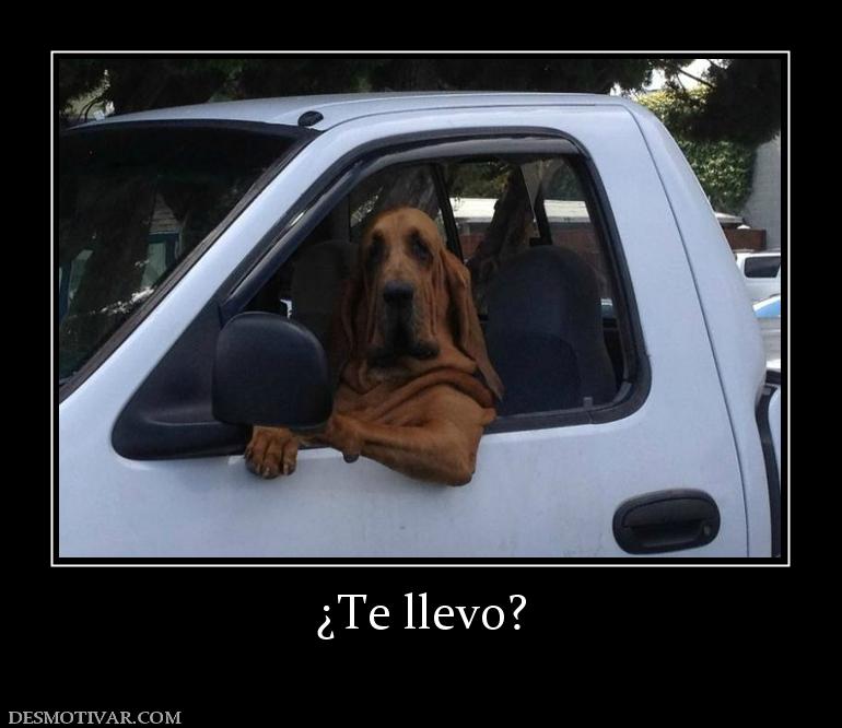 ¿Te llevo?