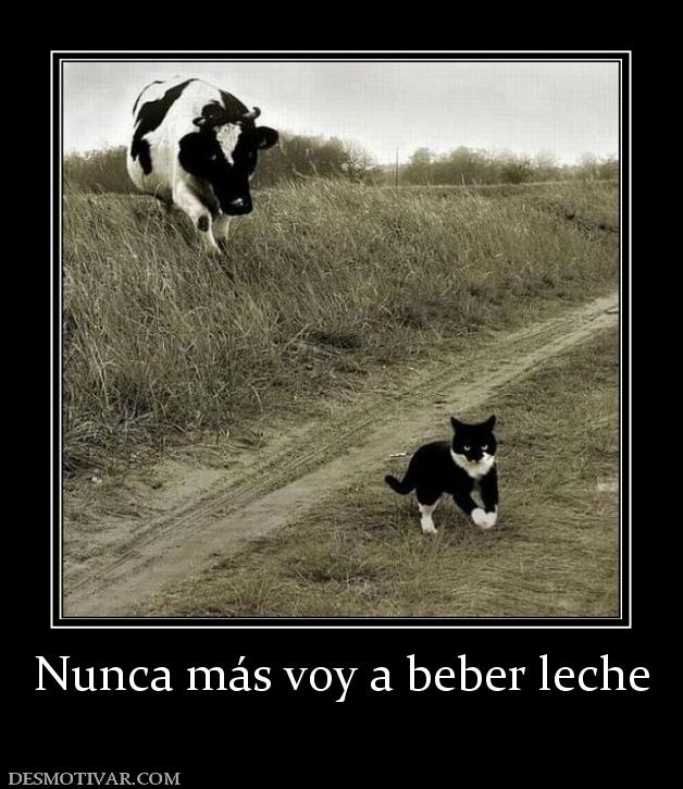 Nunca más voy a beber leche
