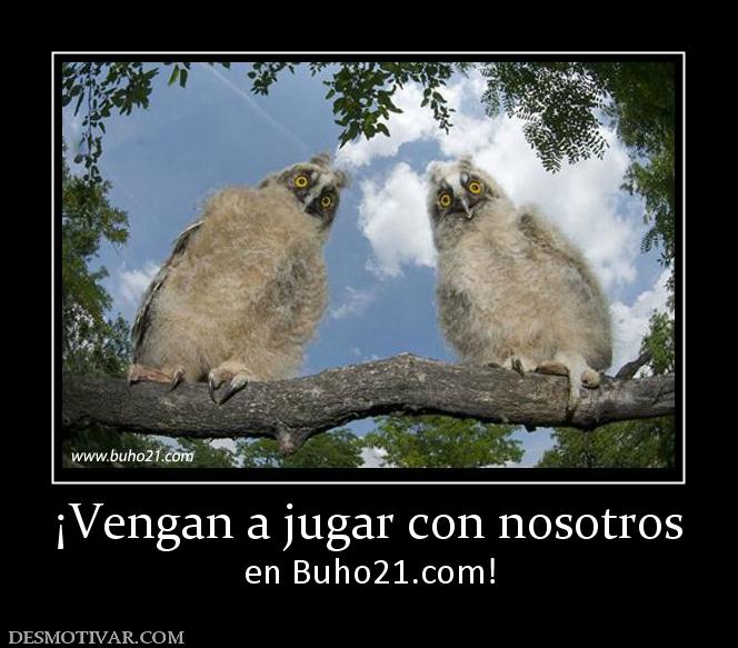 ¡Vengan a jugar con nosotros en buho21.org!