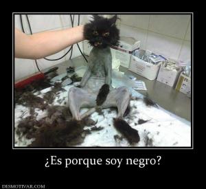 ¿Es porque soy negro?