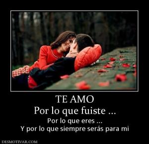 TE AMO Por lo que fuiste ... Por lo que eres ... Y por lo que siempre serás para mi