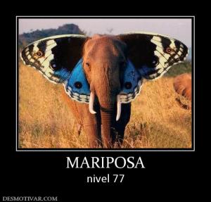 MARIPOSA nivel 77