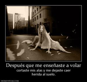 Después que me enseñaste a volar cortaste mis alas y me dejaste caer herida al suelo.