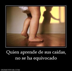 Quien aprende de sus caídas, no se ha equivocado
