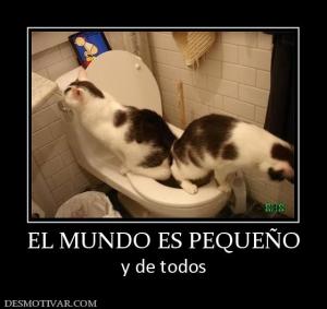 EL MUNDO ES PEQUEÑO y de todos