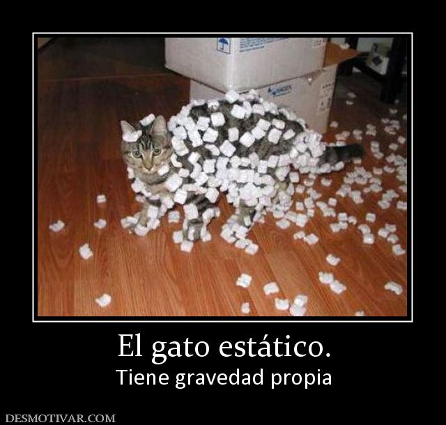 El gato estático. Tiene gravedad propia