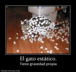 El gato estático. Tiene gravedad propia