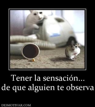 Tener la sensación... de que alguien te observa