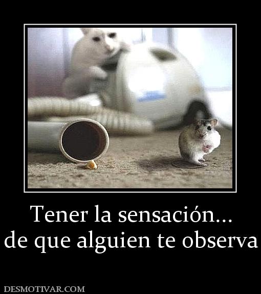 Tener la sensación... de que alguien te observa