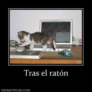 Tras el ratón