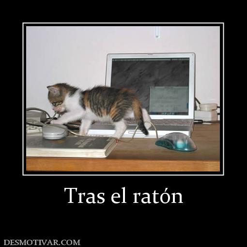 Tras el ratón