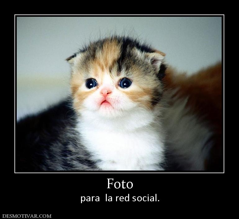 Foto para  la red social.