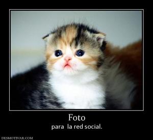 Foto para  la red social.