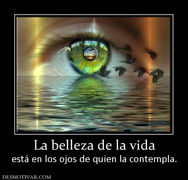 La belleza de la vida está en los ojos de quien la contempla.