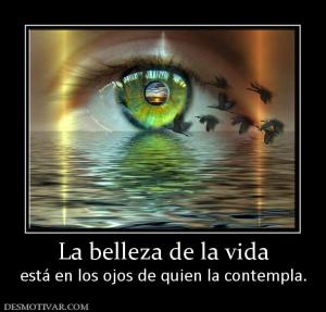 La belleza de la vida está en los ojos de quien la contempla.