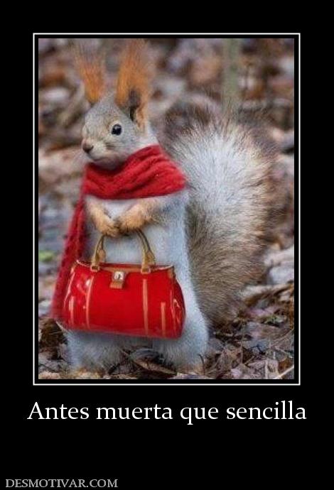 Antes muerta que sencilla