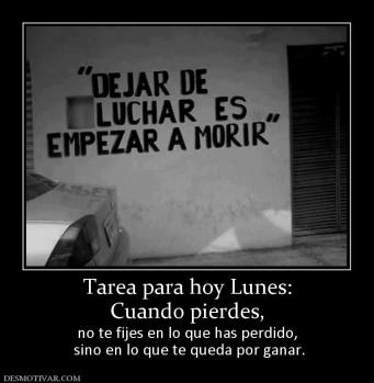Tarea para hoy Lunes: Cuando pierdes, no te fijes en lo que has perdido,  sino en lo que te queda por ganar.