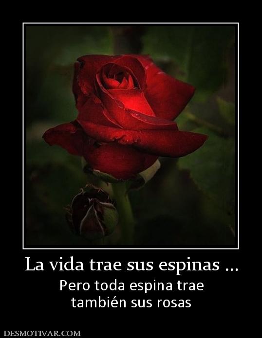 La vida trae sus espinas ... Pero toda espina trae también sus rosas