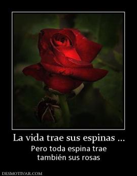 La vida trae sus espinas ... Pero toda espina trae también sus rosas
